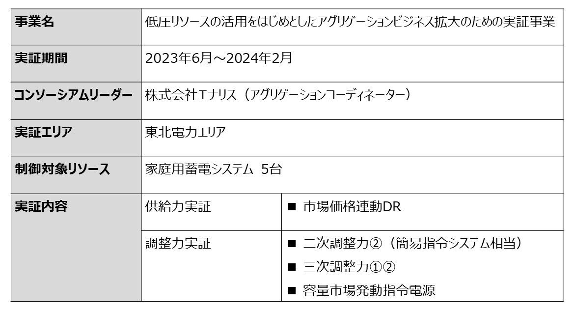 実証事業